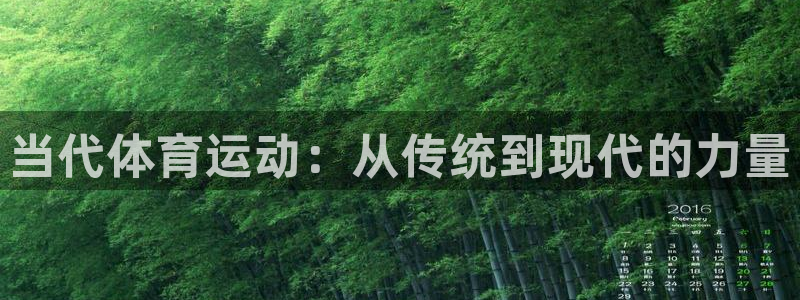 vsport体育在线官网
