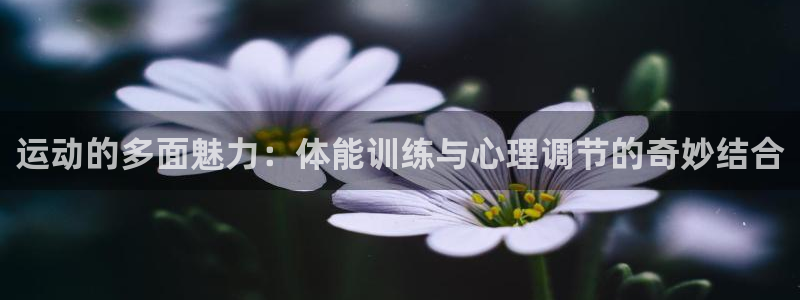 vsport体育