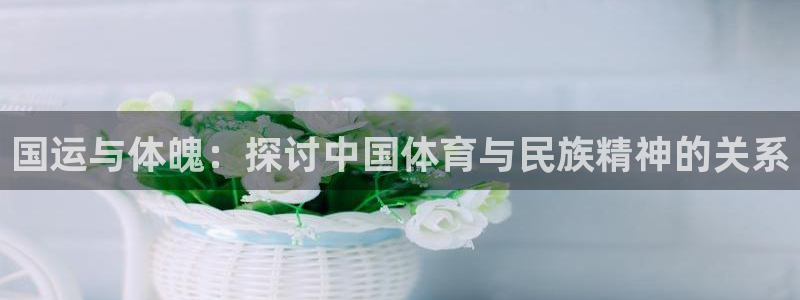 vsport体育在线官网：国运与体魄：探讨中国体育与民族精神的关系