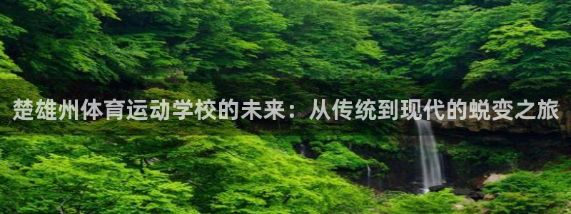 vsport体育：楚雄州体育运动学校的未来：从传统到现代的蜕变之旅