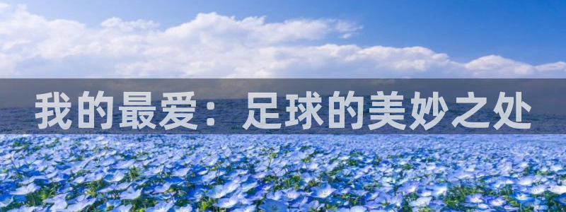 vsport体育：我的最爱：足球的美妙之处