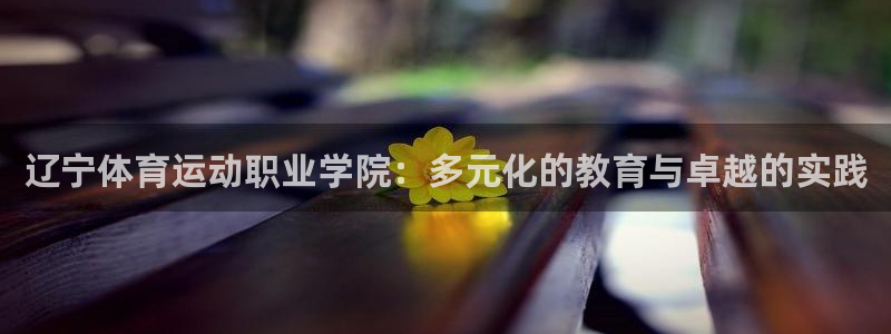 vsport体育：辽宁体育运动职业学院：多元化的教育与卓越的实践
