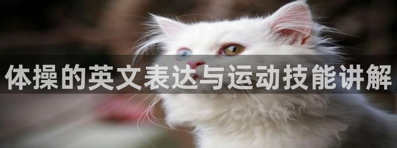 vsport体育：体操的英文表达与运动技能讲解