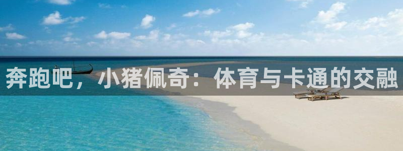 vsport体育在线官网