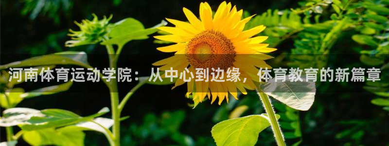 vsport体育：河南体育运动学院：从中心到边缘，体育教育的新篇章